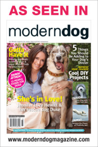 Modern Dog cover