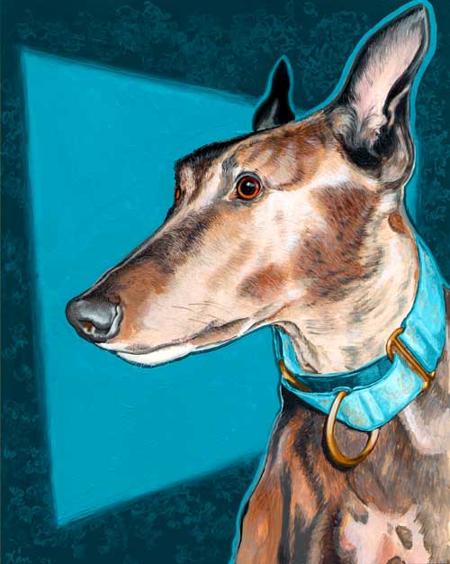 Rynn greyhound portrait