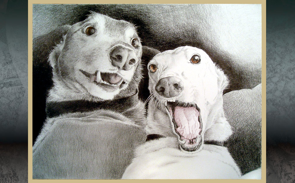 Dave and Weenie greyhound portrait