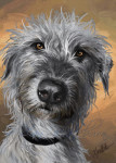Roheen Irish Wolfhound digital painted portrait