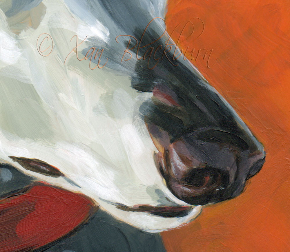 Sadie (detail - muzzle)