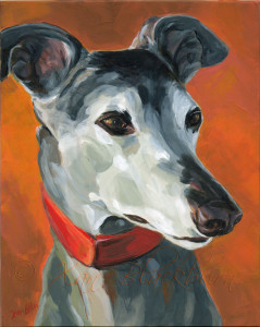 Sadie greyhound portrait