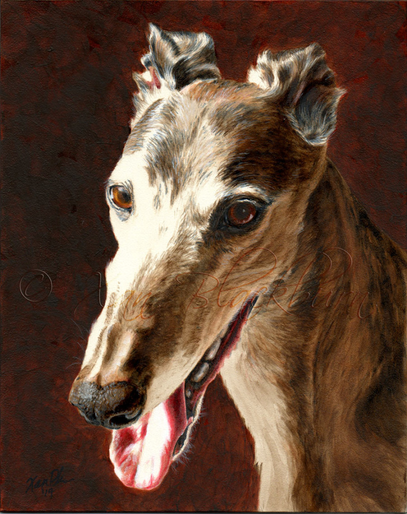 Stella greyhound portrait