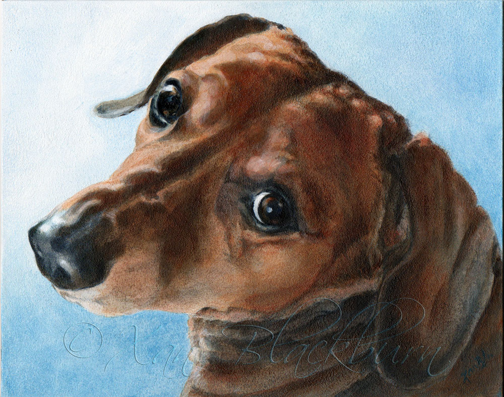 Scooby (Dachshund) Acrylic on Panel, 10