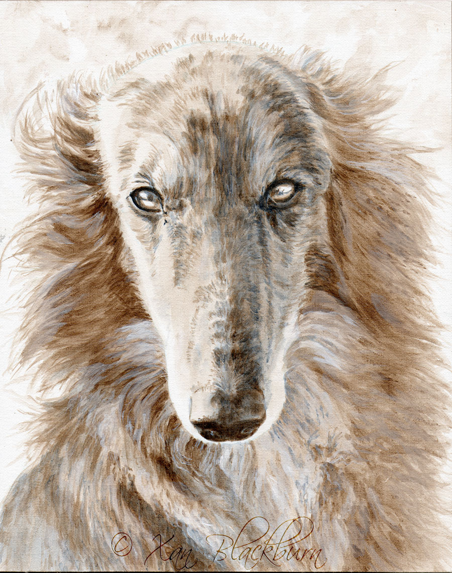 "Feyd" silken windhound portrait, work in progress, stage 4 8" x 10" acrylic on canvas panel © Xan Blackburn